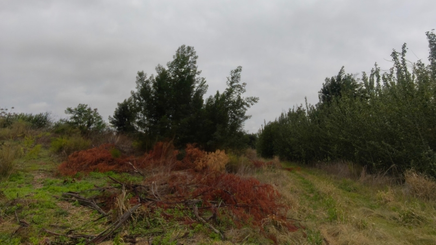 0 Bedroom Property for Sale in Koster North West